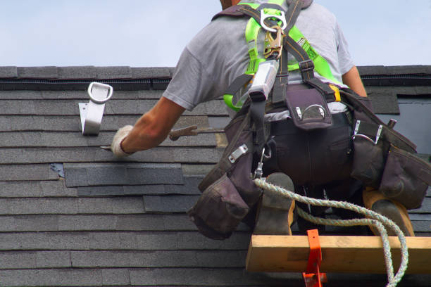 Roof Gutter Cleaning in Glenwood, GA