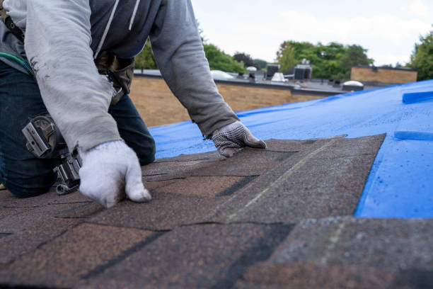 Best Shingle Roofing Installation  in Glenwood, GA